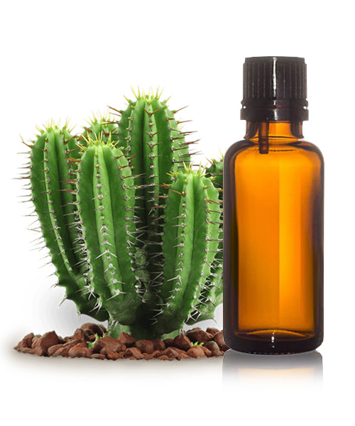 Cactus Seed Oil