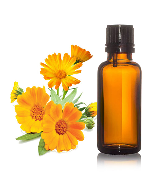 Calendula Oil