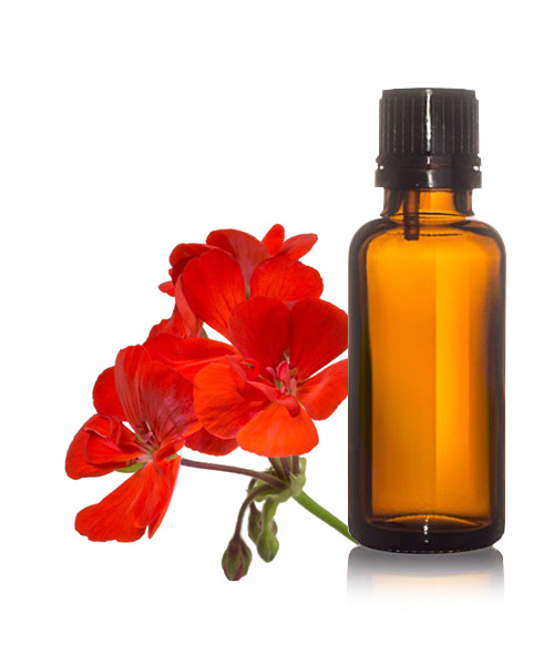 Geranium Oil
