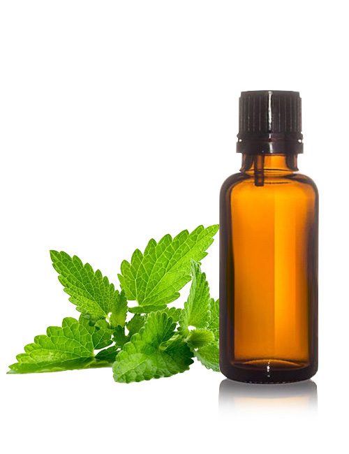 Mentha Arvensis Oils
