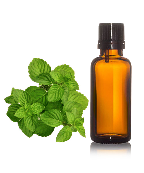 Spearmint Oil