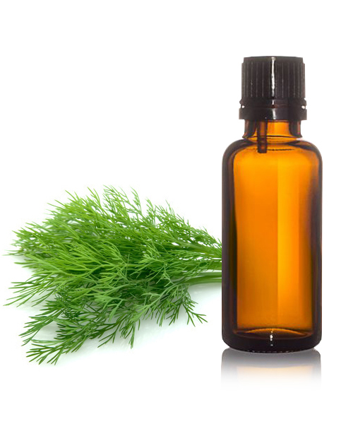 Dill Oil BP