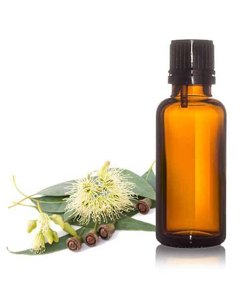 Eucalytpus Oil IP/BP