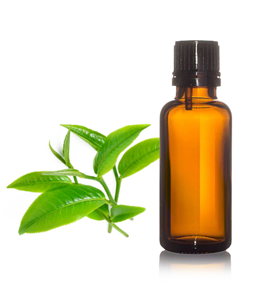 Tea Tree Oil BP