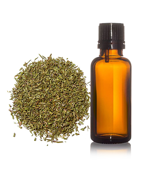 Thyme Oils