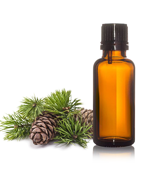 Turpentine Oil BP 