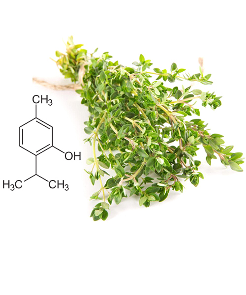 Thymol  Natural 