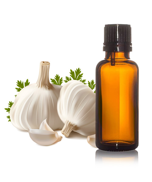 Garlic Oil (Speciality Ingredients)